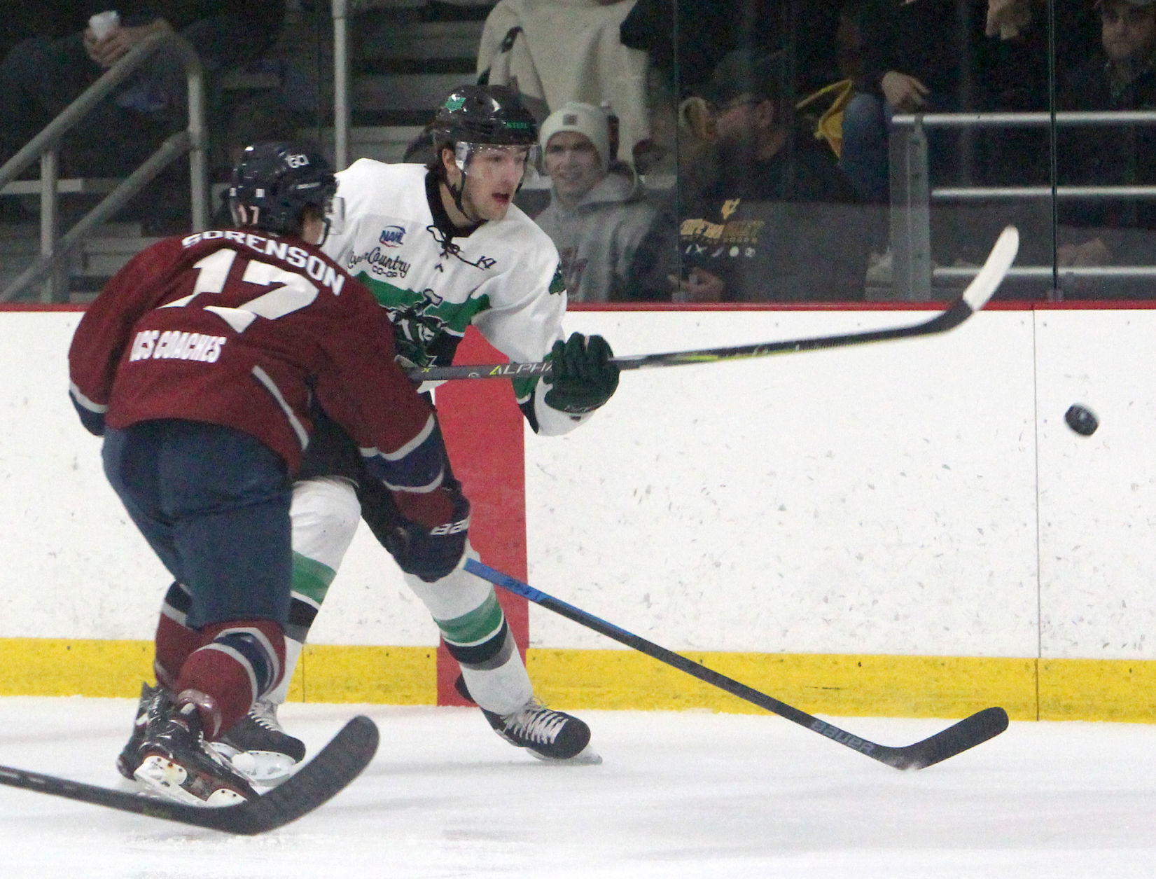 Fairbanks Ice Dogs at Chippewa Steel 12-29-18